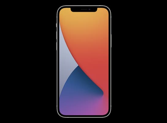 Apple iPhone 12 Pro A14 rendering for iOS firmware update
