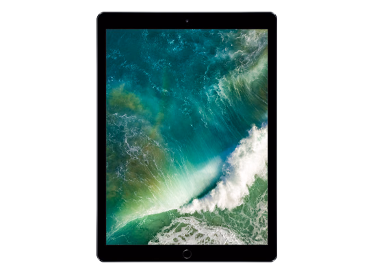 iPad Pro (12.9-inch) (2nd generation) Wi-Fi + Cellular